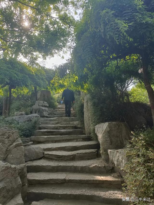 无为在歧路，武安涉县平顺临清（10）