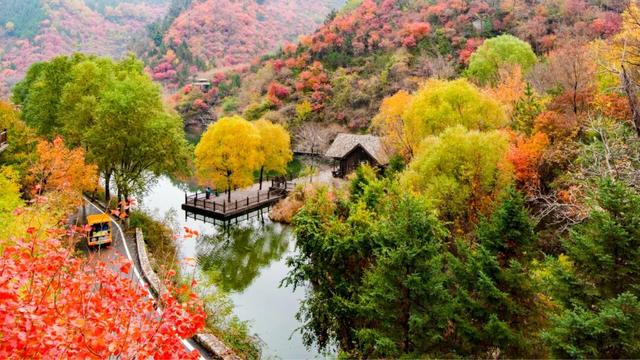 济南驻村第一书记带你“自驾”行 • 游乡村（市中、南部山区篇）