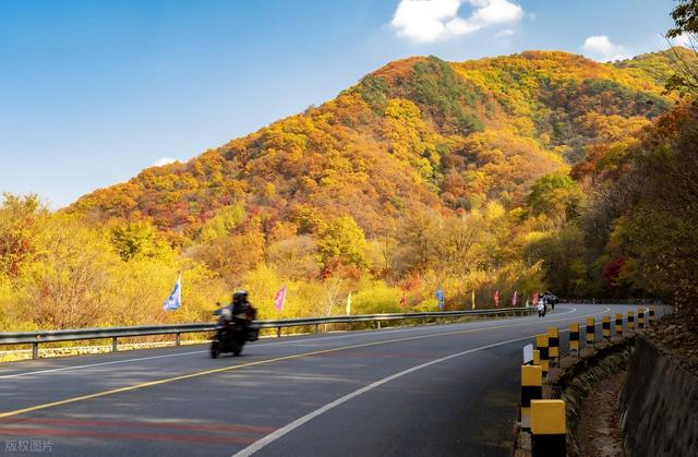 9月-11月，8条秋色公路，秋景繁盛，赏秋自驾好时候
