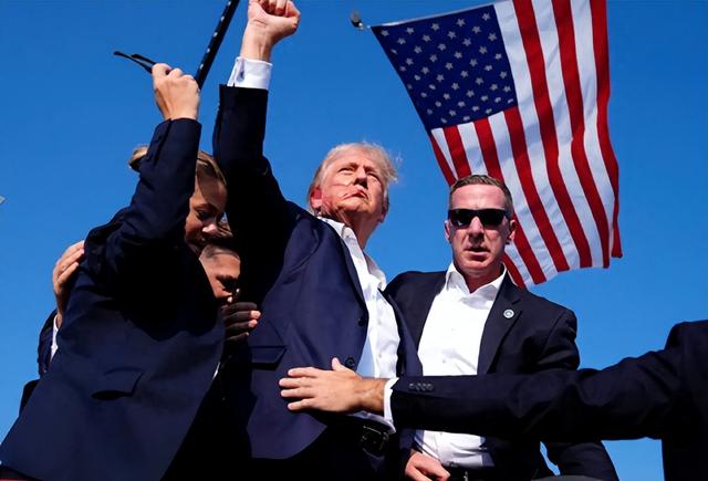 马斯克为何突然说“少碰政治”