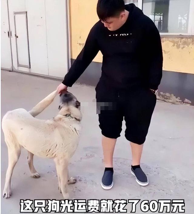 钱多真的有用吗？女儿抑郁儿子败家，赵本山给所有男人提了个醒
