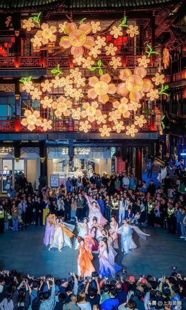 跟着“韩国欧尼”逛花海：花卉节引燃“花样经济”｜黄浦日记