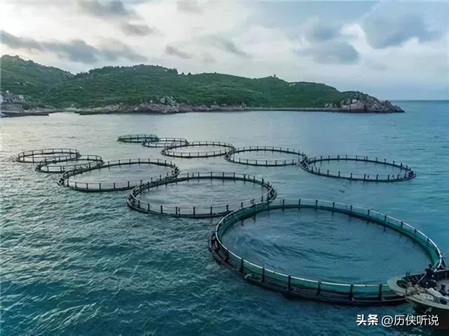 中国地位不保？美国稀土技术革命性突破，全球稀土格局或被重塑