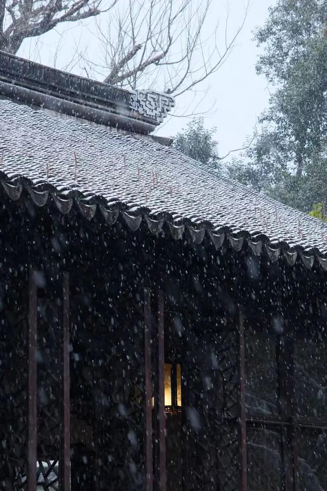 2026年的一场纯雪，让苏州一夜变成了姑苏！