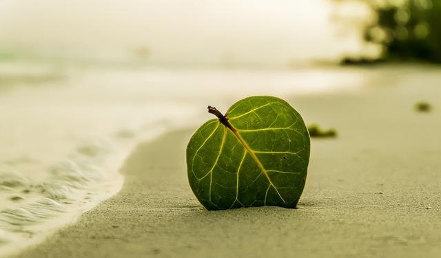 明目张胆地造假，谁给的底气！