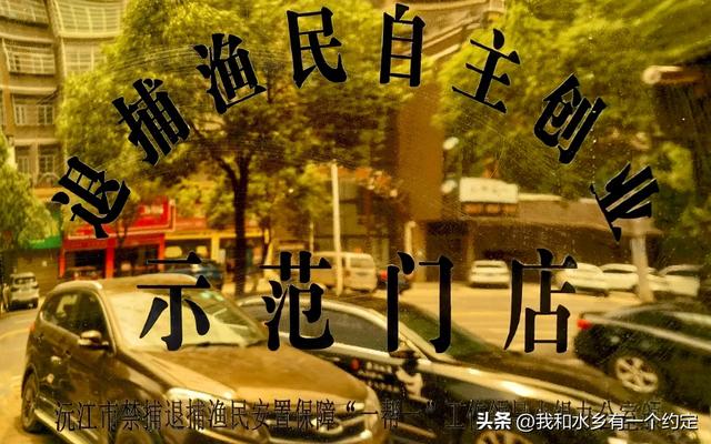 再逛沅江南洞庭湖湿地公园：十年禁渔后，洞庭湖的新模样