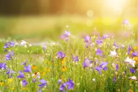 有这些表现，说明你胆子太小了！图片