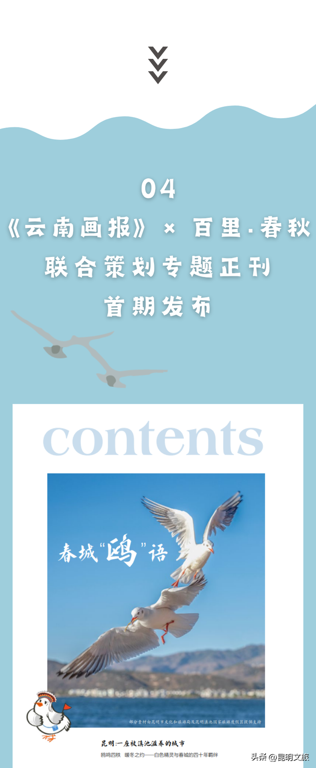 活动预告 | 春城生活主义 ·「 鸥遇正好 」