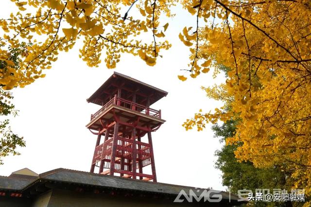 随手一拍都是大片！安阳深秋限定美景已上线→