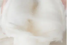 24年被子选购指南—怎么选到一床好被子？一篇给你讲明白图片