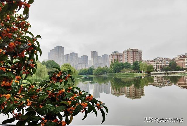 六安：丹桂飘香瓜果甜 山水美景等你来
