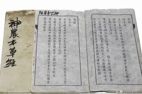 “神农尝百草，日遇七十二毒，得荼而解之”到底是怎么一回事？图片