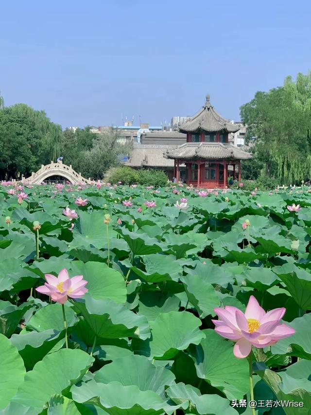 保定:揽直隶古韵，赏燕赵风光，融雄安新篇