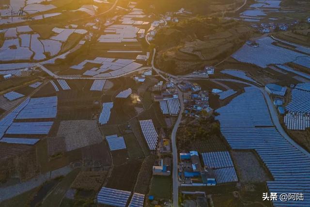 如果你正在大理摆烂,这条被果园包围的乡村小道很值得去跑一跑