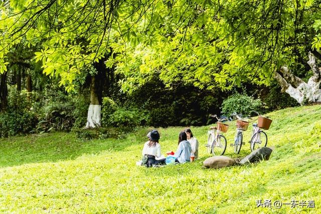 车友福音！广州免费床车房车营地清单流出，停车免费，附景点美食