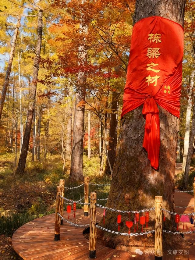在安图九溪听泉,听见时光变软的声音