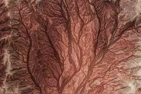 刀神老师《花妖》歌词试解析图片