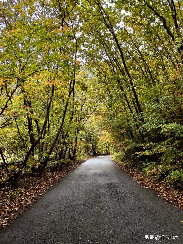 2025辽宁赏秋之旅日记(2)——游览丹东蒲石河森林公园