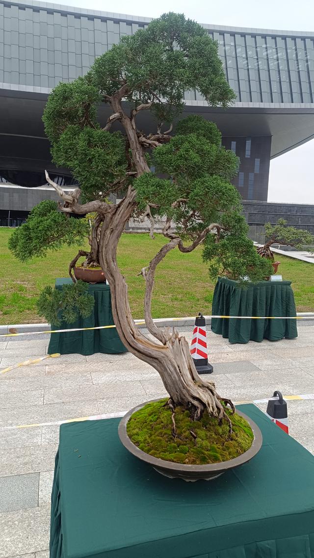 洛阳伊滨花境园缤纷世界等你来