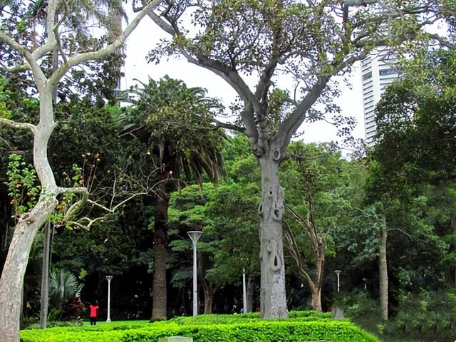 大洋洲旅游：澳大利亚新南威尔士州行（图）
