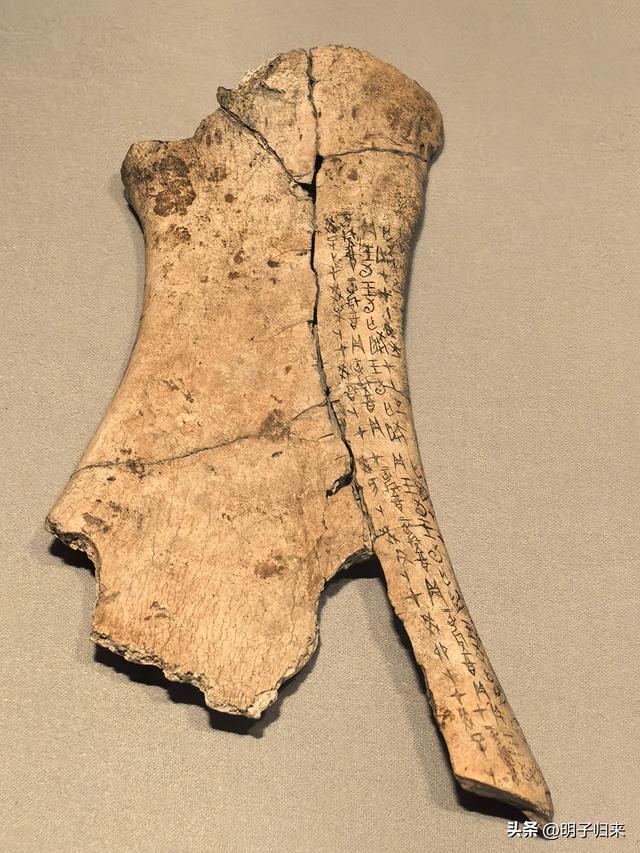 故乡往事：津门探宝