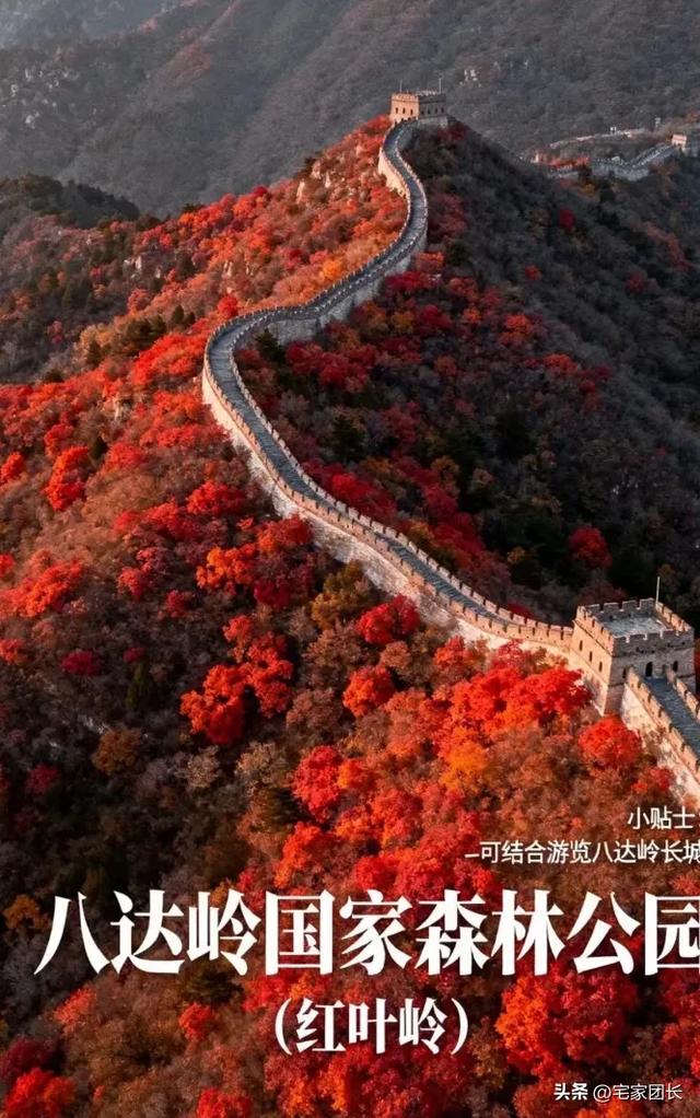 老舍先生说过：北平之秋是天堂，北京的秋藏着最动人的美