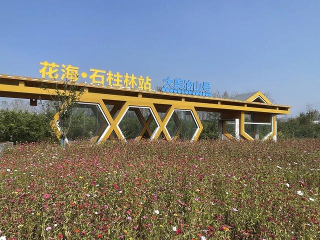 随性骑游六合随拍小景