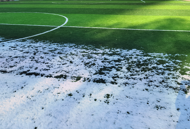 漫步黄河之滨幽静的小路