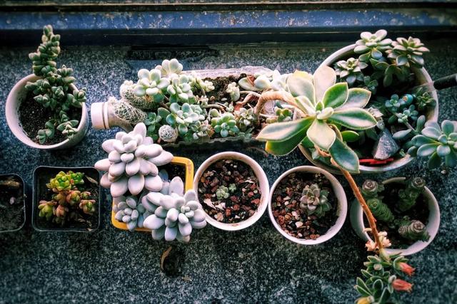 为什么越娱乐越疲惫？心理学揭开真相，学会这招，轻松获得幸福感