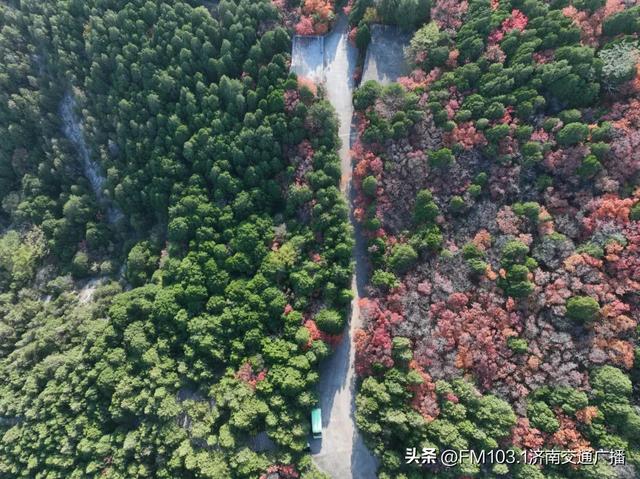 公园景区秋色图鉴,这几处必打卡