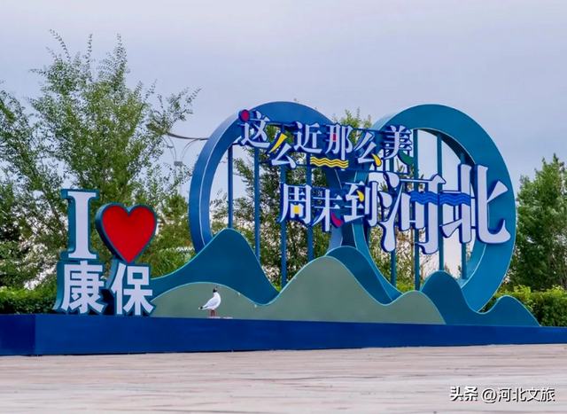 遗鸥之乡康保 四季风景美如画