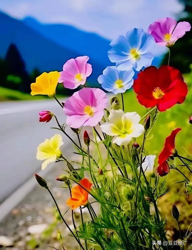 两性关系中，大多数女性害怕五十多岁的男性，原因无非是以下几点