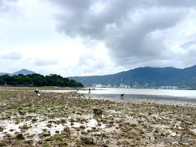 深圳四个免费,露营卡式炉,钓鱼赶海