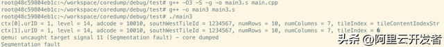 从一个崩溃问题展开，探索gcc编译优化细节