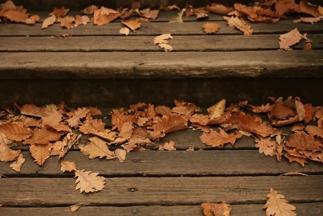 藏不住了！延吉的秋天美成这样，邀你共赏斑斓盛景