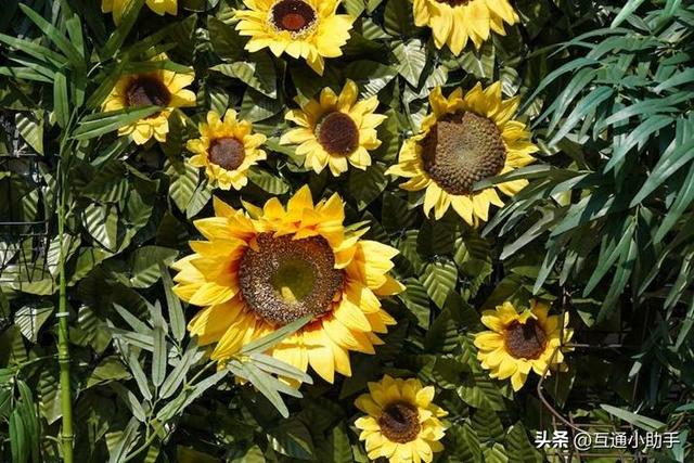 50mm起步的超远摄变焦!腾龙“50-400mm F/4.5-6.3 Di III VC VXD”评测