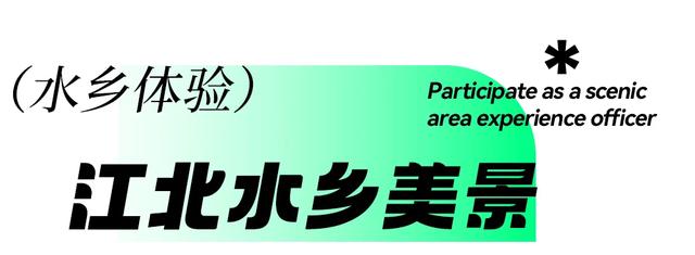 速领免费体验名额!台儿庄古城体验官招募,等你来“疯”!