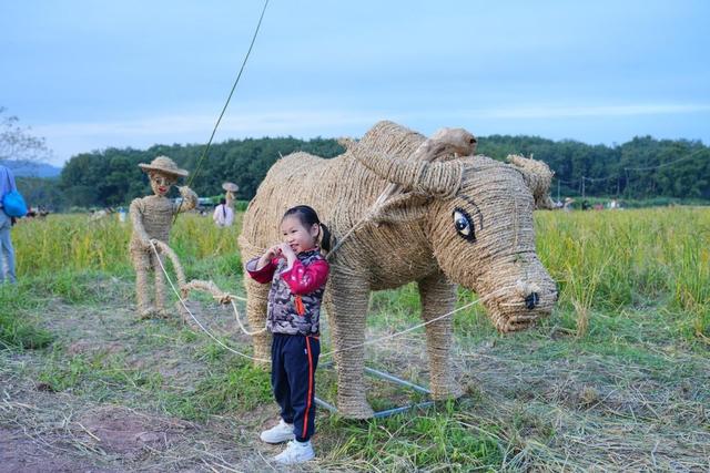 2025年白沙“啦奥门”雨林与您山兰文化活动盛大举行