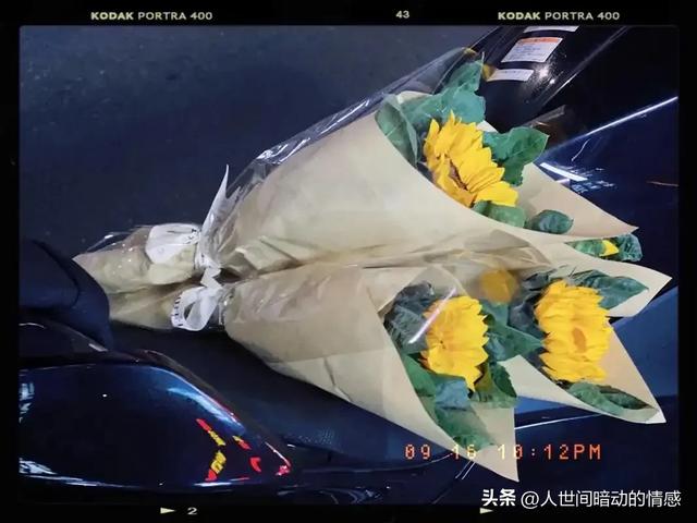 我们的相遇十分不易,我会珍惜每一瞬间,遇到你,真好