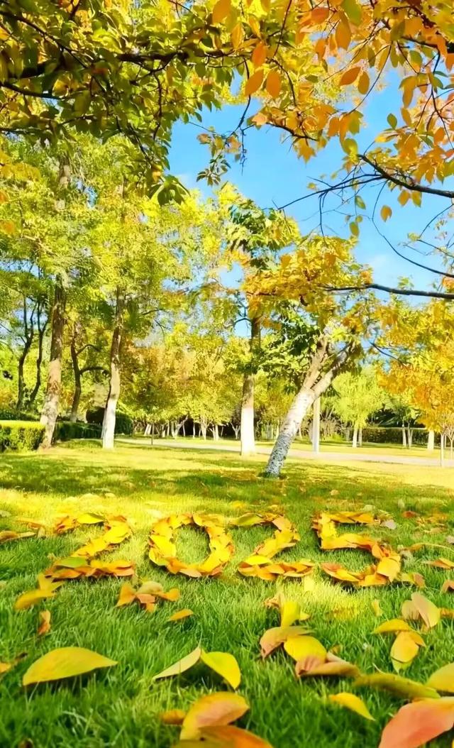 叶落临沂，步步皆是诗意画卷