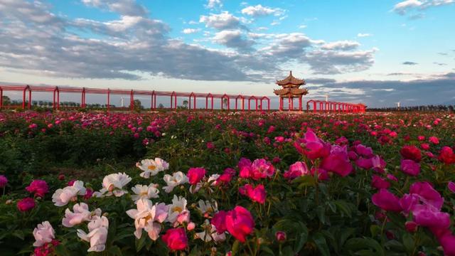 速进！国庆潼关旅游线路来了→季节特色游线
