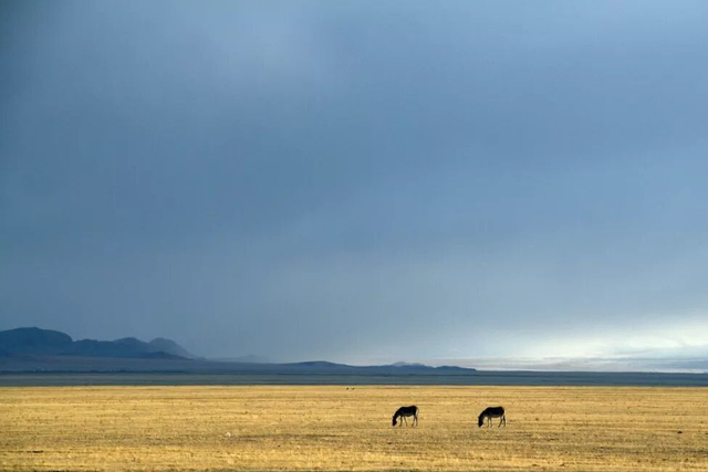 此生必驾新藏线：穿越无人区，邂逅神山圣湖