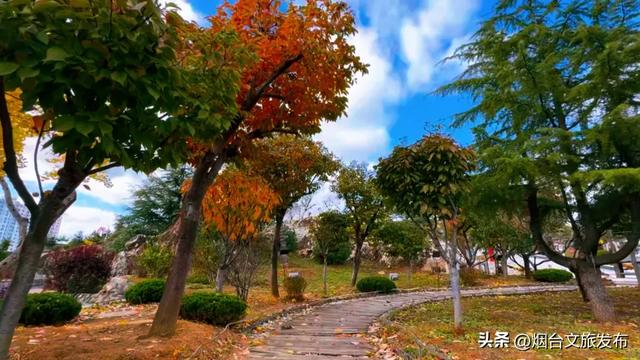 周末好去处丨人少免费!烟台小众公园美疯了