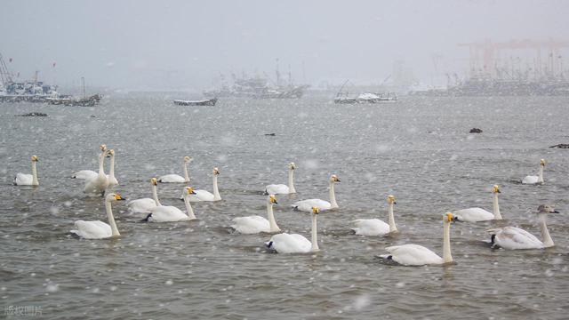 冬季旅行5个好去处，接下来三个月，人少风景美，游玩体验好