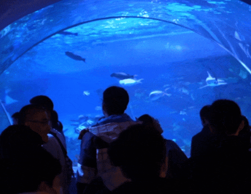 超全！满满仪式感！日照跨年活动来啦！