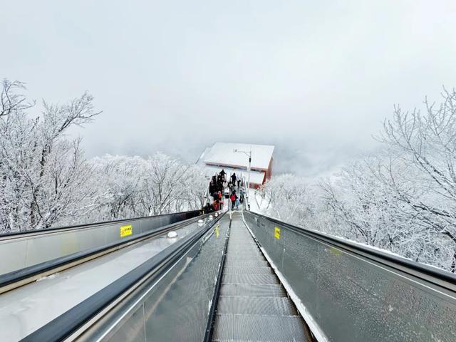 2025龙头山今冬第一场雪已至!快出发来赏雪~