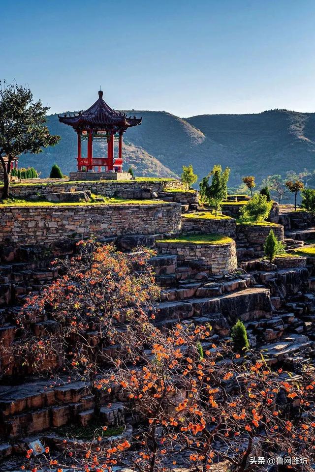 秋天的潍坊，是谁惊艳你的朋友圈？