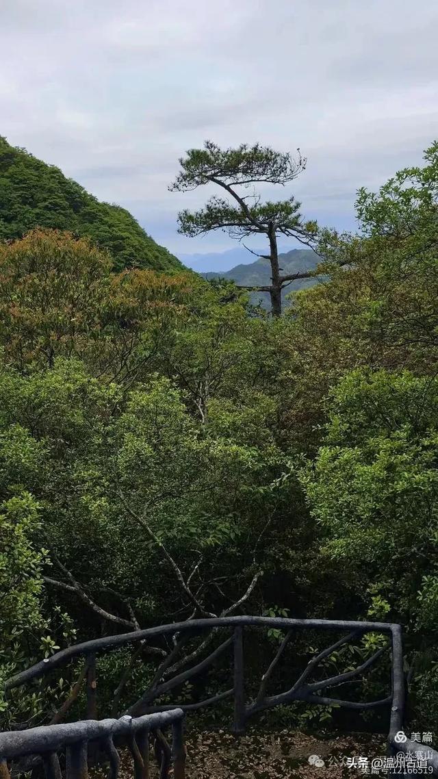 真正的小众避暑胜地！这方秘藏于千米高山之上的清凉秘境等你来！