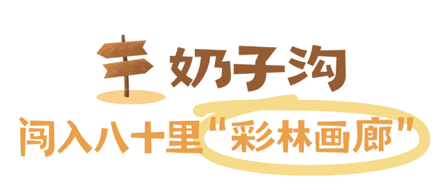 “捡”秋，本宫的眼睛想看彩林了！