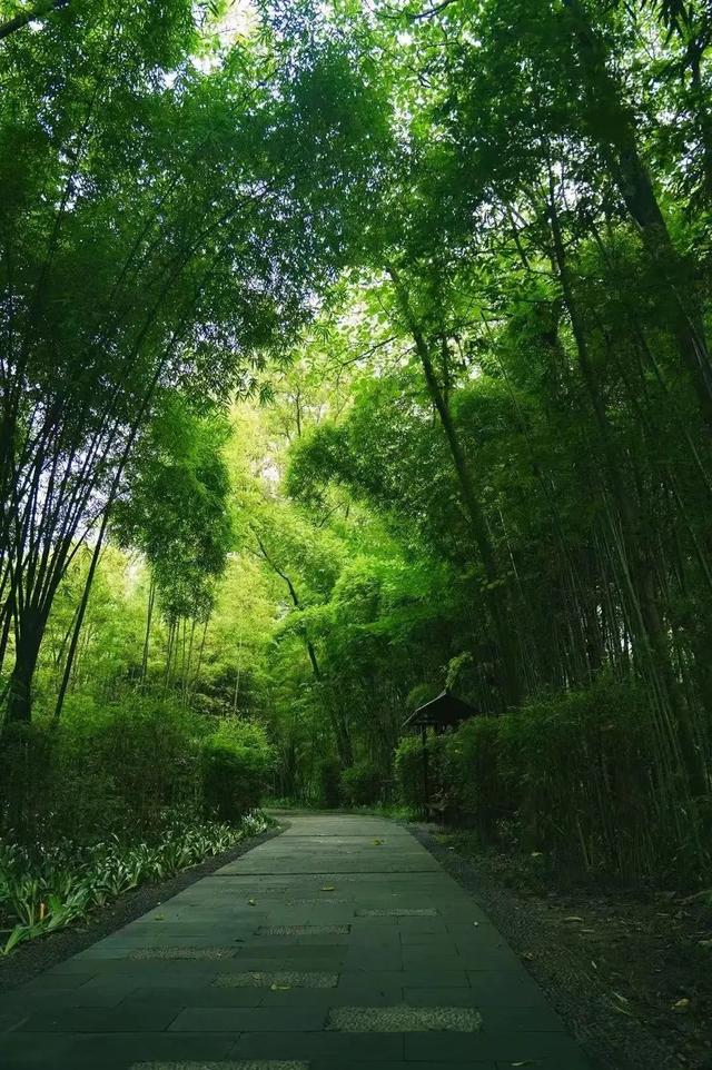 全免费！成都周边30min玩水抓螃蟹、露营野餐钓鱼烧烤！轻松安逸周末快冲！